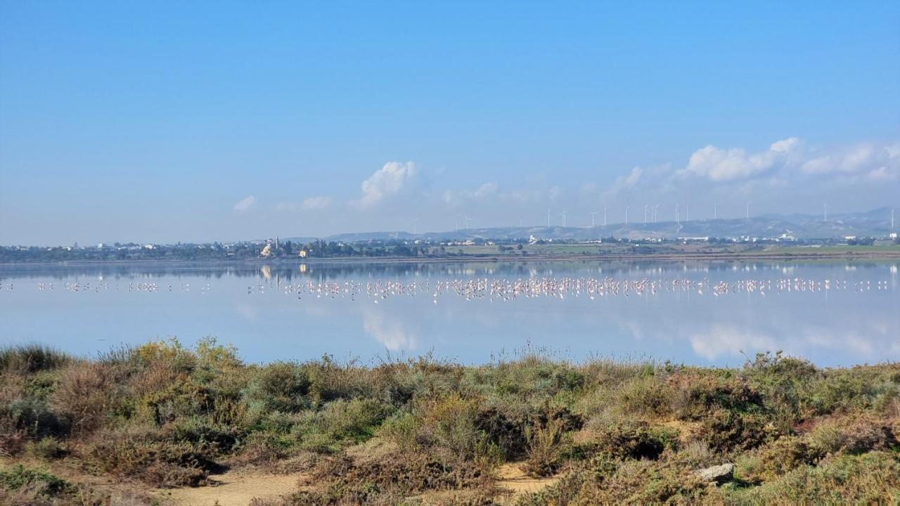 Cozy Beach Apt / 100 Mbit+ Netflix / Near Airport Larnaka Exterior foto